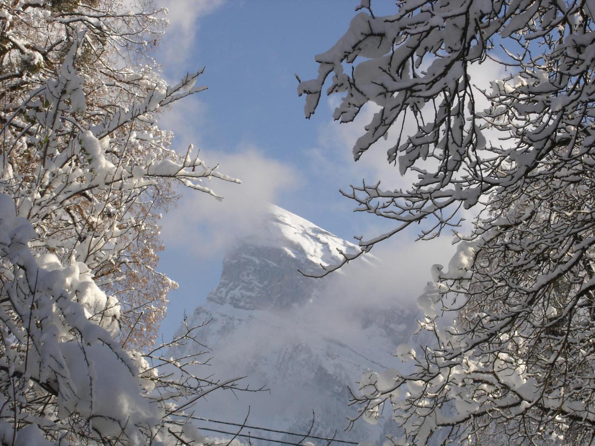 Edelweiss Otel Samoëns Dış mekan fotoğraf
