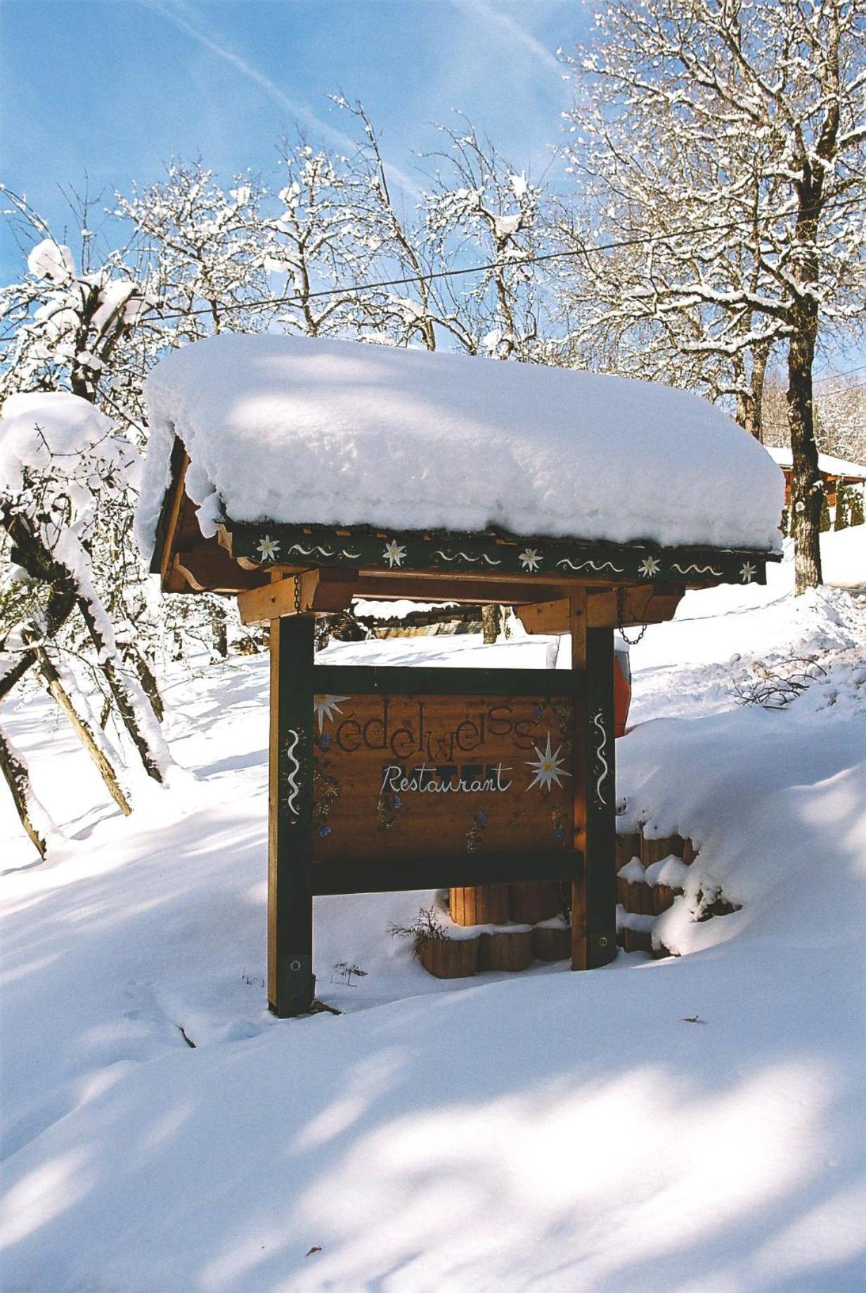 Edelweiss Otel Samoëns Dış mekan fotoğraf